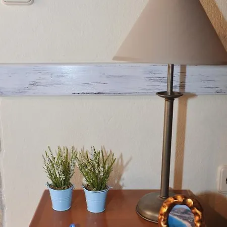 16 Проживание в семье Порту-Санту