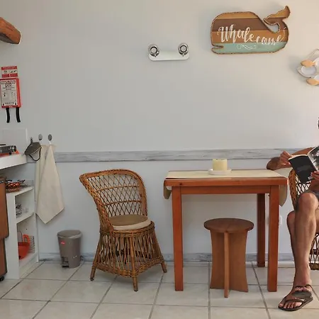 16 ホームステイ *