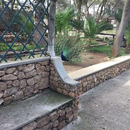 Δωμάτια σε οικογενειακή κατοικία 16