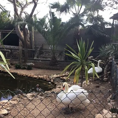 16 * 포르투산투