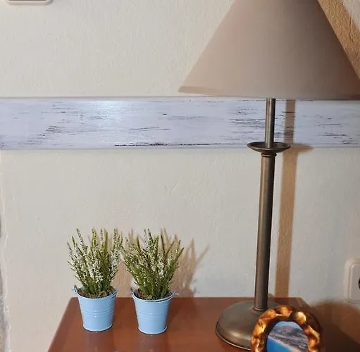 16 Alloggio in famiglia Porto Santo