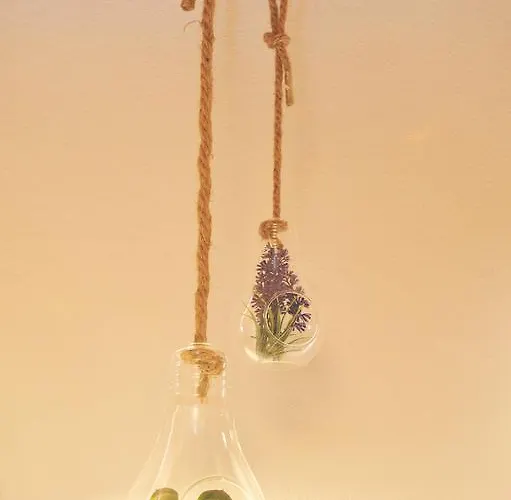 Alloggio in famiglia 16