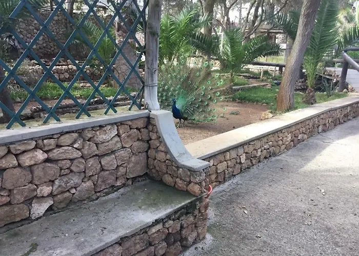 Alloggio in famiglia 16